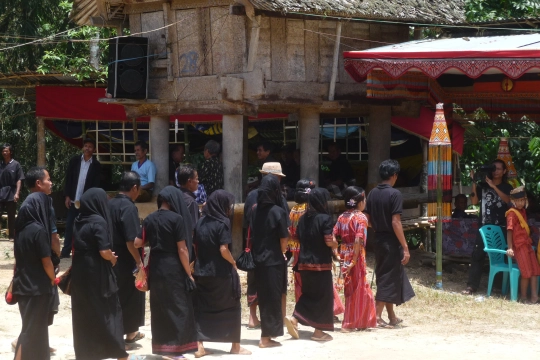 Sulawesi